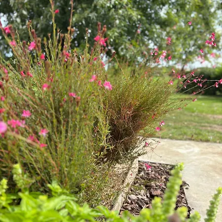 Apartment Casa Roberta - Esperienze Di Campagna