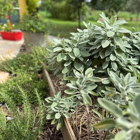 Casa Roberta - Esperienze Di Campagna *