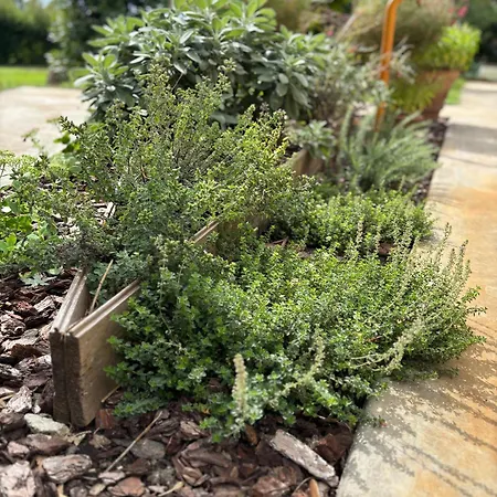 Casa Roberta - Esperienze Di Campagna *