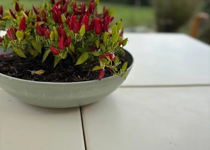 Casa Roberta - Esperienze Di Campagna *