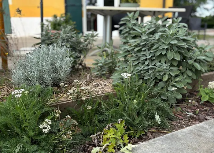 Casa Roberta - Esperienze Di Campagna *