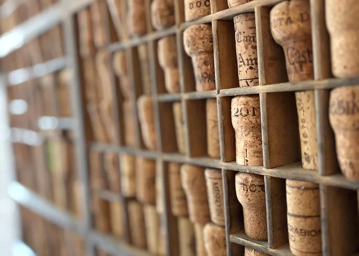 Casa Roberta - Esperienze Di Campagna *