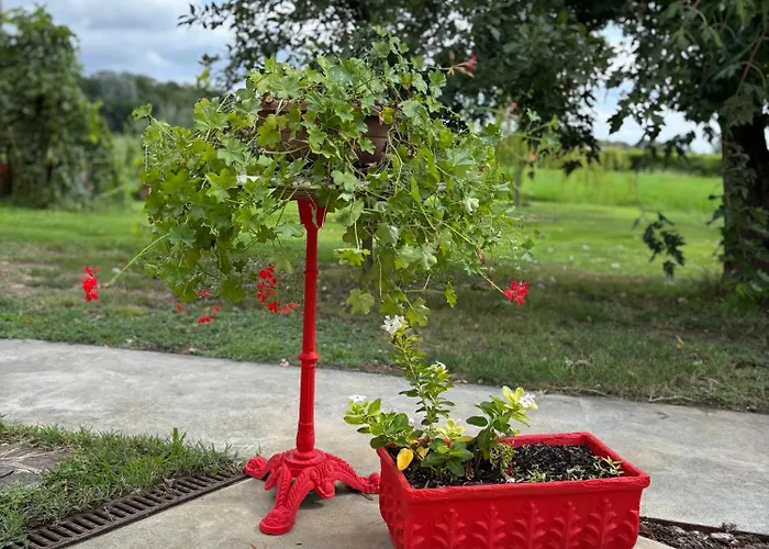 Apartment Casa Roberta - Esperienze Di Campagna