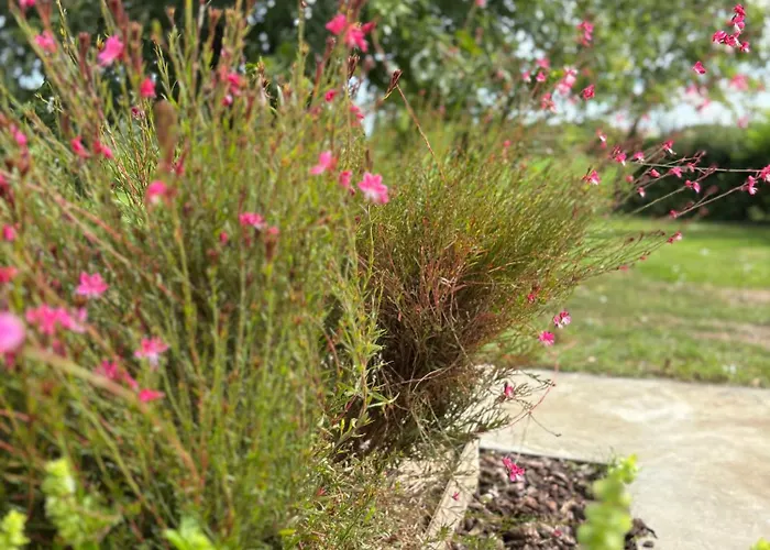 Appartement Casa Roberta - Esperienze Di Campagna