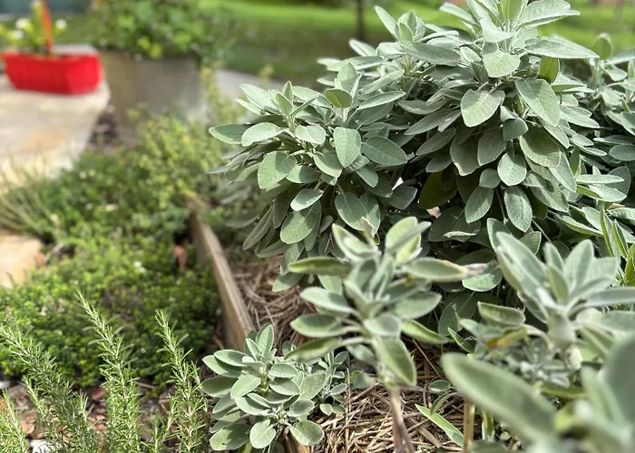 Casa Roberta - Esperienze Di Campagna *