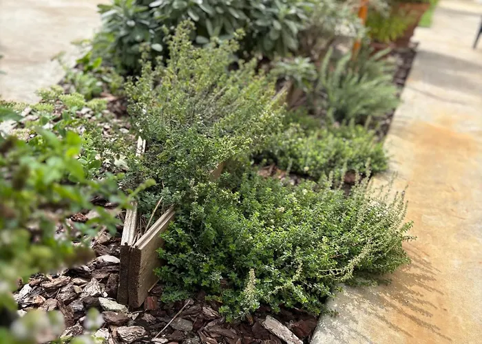 Casa Roberta - Esperienze Di Campagna Appartement Reggio nell'Emilia