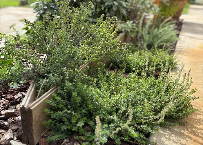 Casa Roberta - Esperienze Di Campagna *